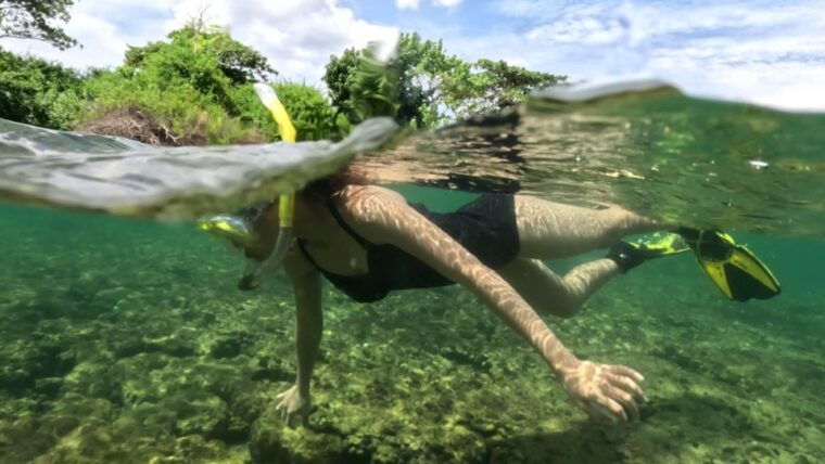 phu-quoc-snorkeling-discover-southern-northern-coral-reefs