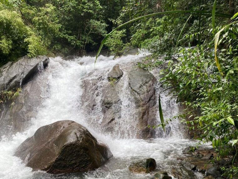 phuket-bamboo-rafting-monkey-cave-and-atv-option
