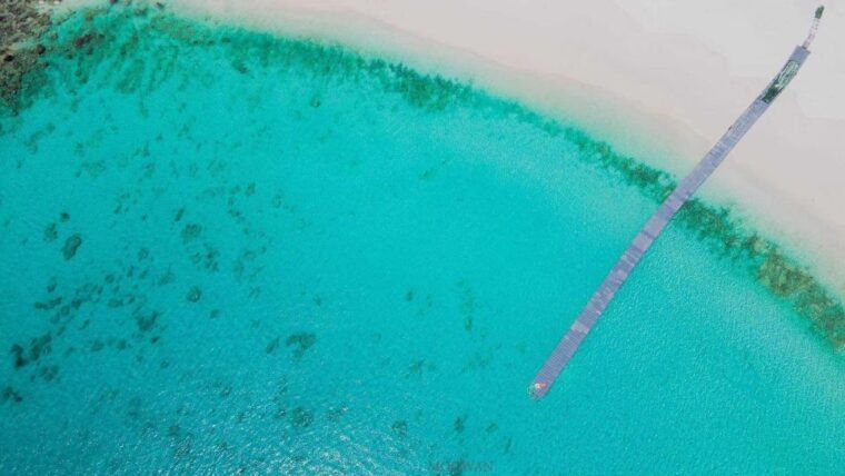 phuket-coral-racha-islands-day-trip-by-speedboat