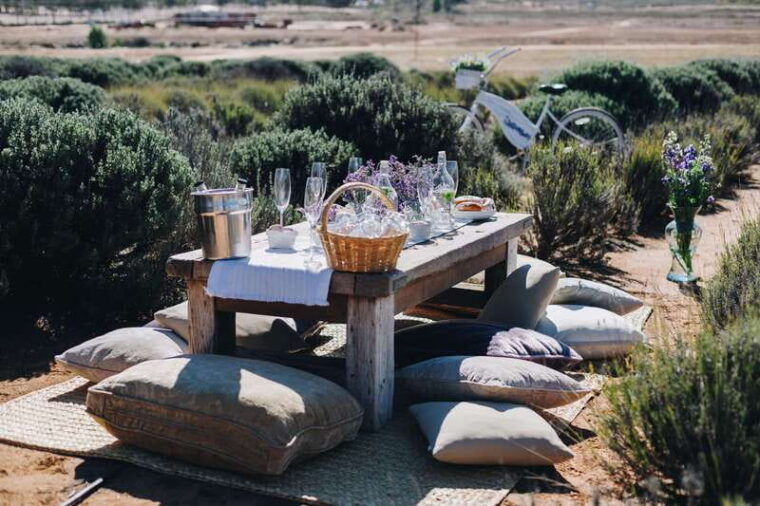 picnic-among-lavender
