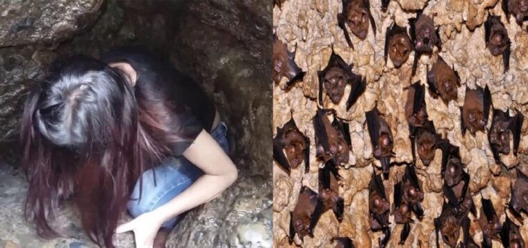 pokharamahendra-gupteshwor-mahadev-bat-cave-private-tour