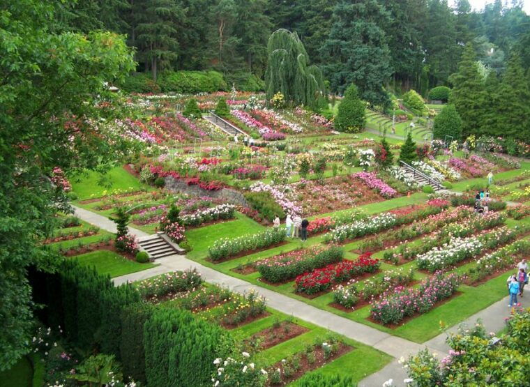 portland-guided-city-bus-tour