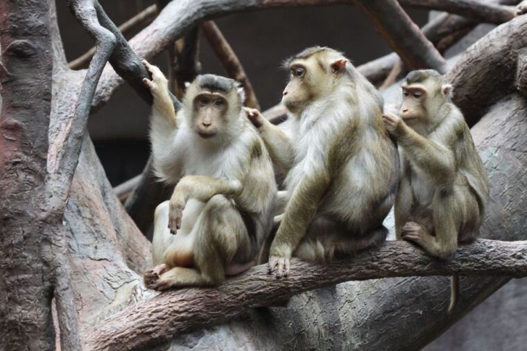 prague-boat-ride-to-the-zoo-and-admission-ticket
