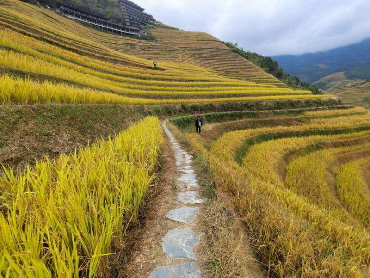 private-custom-tour-2-day-longji-rice-terraces-private-tour