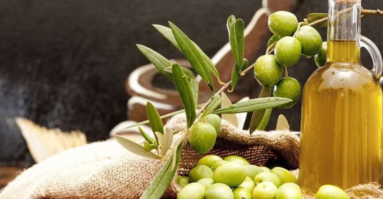 private-olive-oil-tour-tasting-with-lunch-from-katakolo