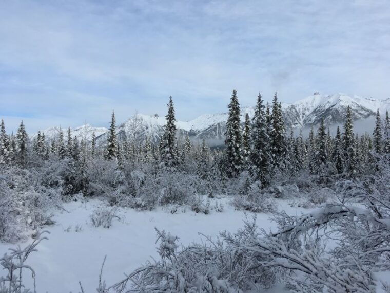 private-wilderness-and-wildlife-walking-tour-2-5h
