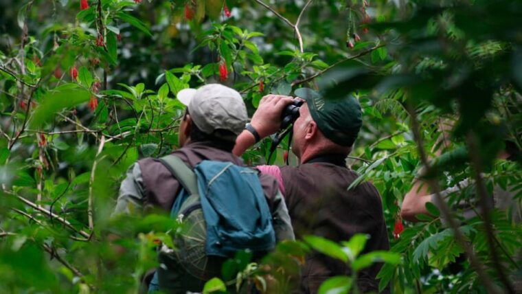 puerto-maldonado-4-day-amazon-rainforest-adventure