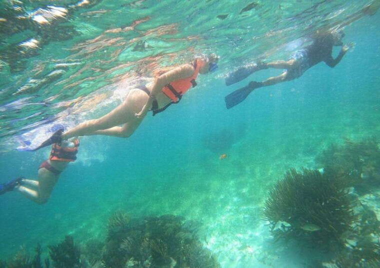 puerto-morelos-snorkel-tour-in-reef-with-transportation
