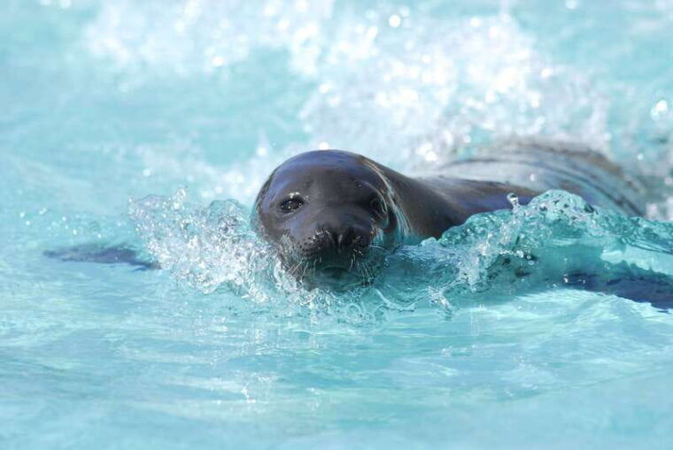 quebec-aquarium-of-quebec-entry-ticket