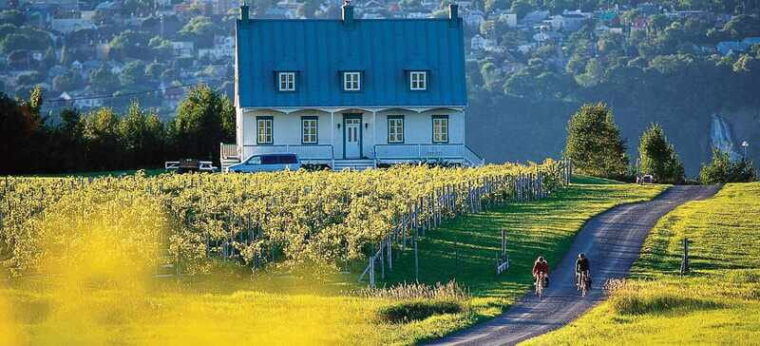 quebec-city-regular-bike-rental-on-ile-dorleans