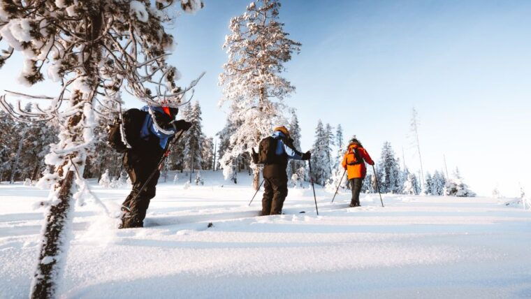 rovaniemi-ski-trekking-safari-in-lapland