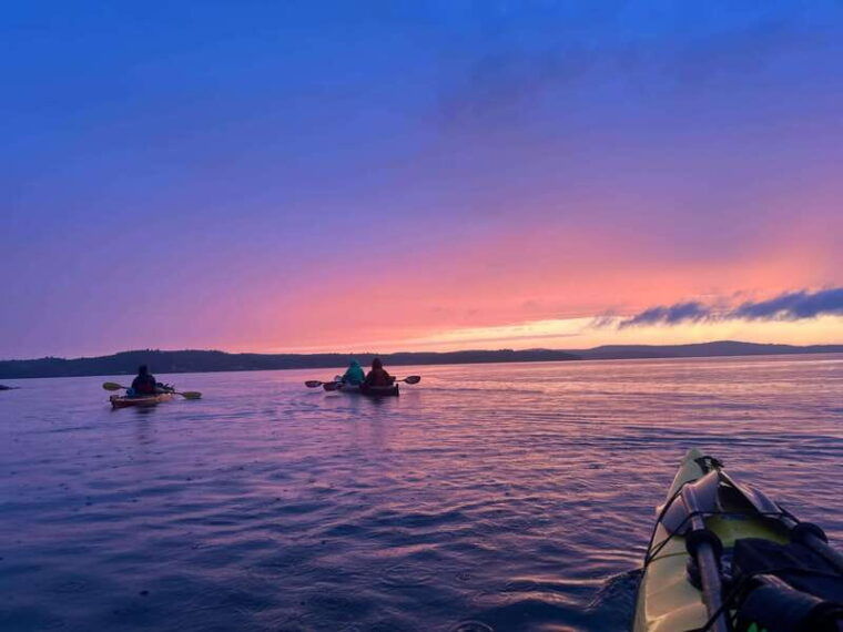 saint-john-river-river-relics-kayak-tour
