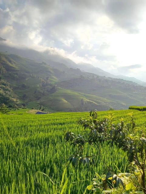sapa-2-days-walking-1-night-at-homestay-with-local-guide