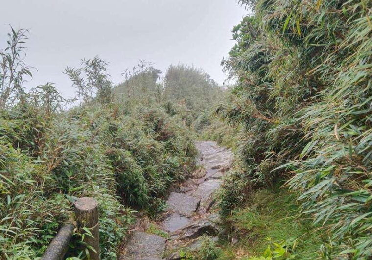 sapa-climb-up-to-fansipan-mountain-with-local-guide