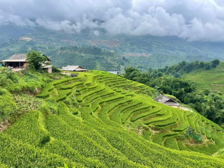 sapa-trekking-through-terraced-rice-fields-valley-1-day
