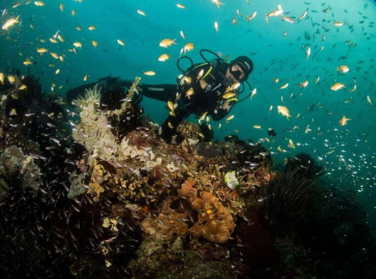 scuba-diving-in-boracay-ssi-basic-diver-for-beginners