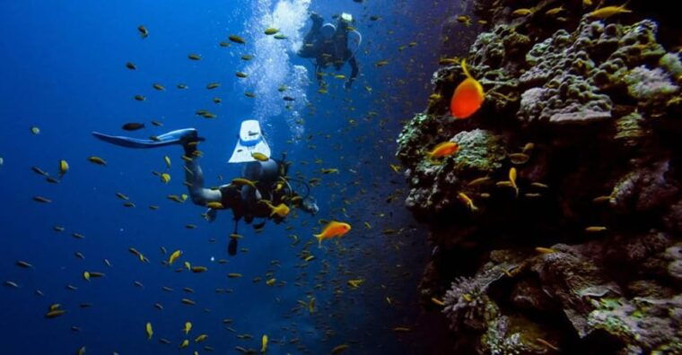 scuba-diving-tour-with-transfer-from-alanya-and-city-of-side-2