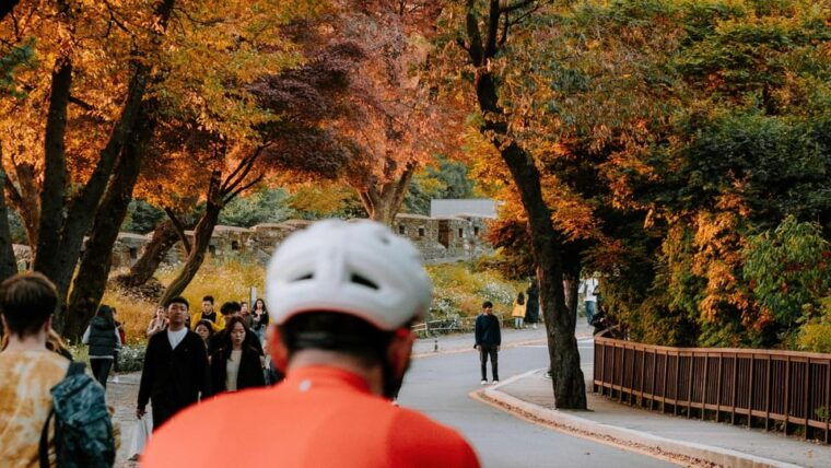 seoul-han-river-urban-nature-bike-tour