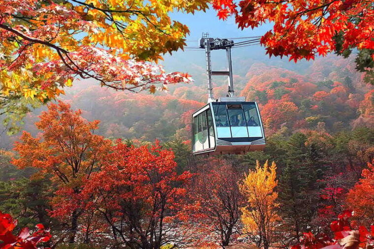 seoul-mt-seorakcable-carsokcho-beachmarketobservatory