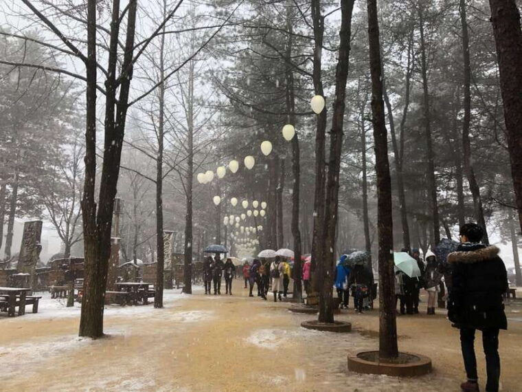 seoul-nami-island-garden-of-morning-calm-tour-rail-bike
