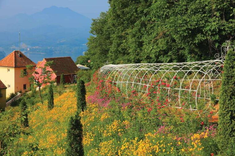seoul-nami-island-with-garden-petite-france-railbike