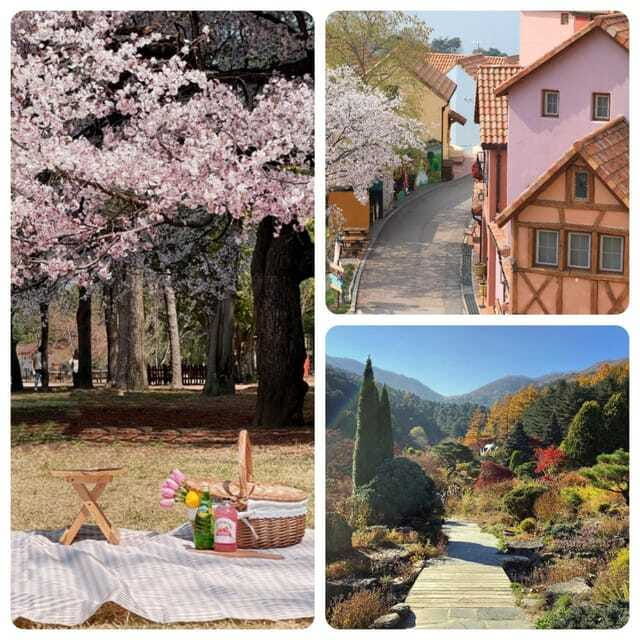 seoul-nami-petite-france-morning-garden-healing-park