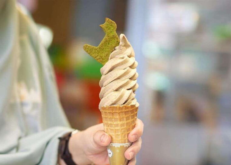 sip-savor-%f0%9f%9a%a0-maokong-tea-shenkeng-tofu-private-day-tour