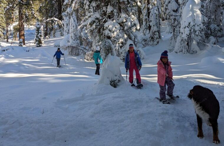 snowshoe-rentals-and-self-guided-tour-on-private-trails