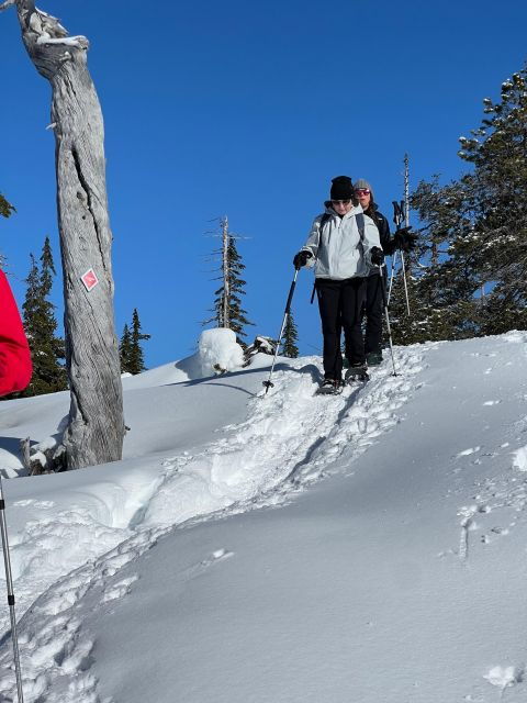 snowshoeing-at-the-top-of-the-sea-to-sky-gondola