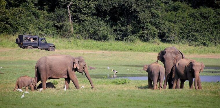 sri-lanka-2-day-national-parks-trip-hotel-transport-guide