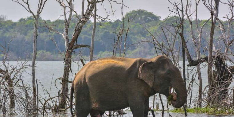 sri-lanka-2-day-wildlife-tour-rainforest-and-national-park