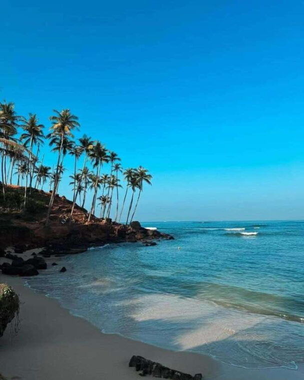 sri-lanka-3-day-2night-south-coast-tour-with-whale-watching