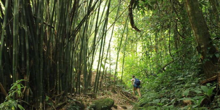sri-lanka-wildlife-wonders-of-sri-lanka-private-5-day-tour