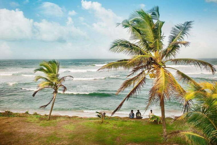 sri-lankas-highlights-12-day-tour-with-temples-tea-plantations-and-nature