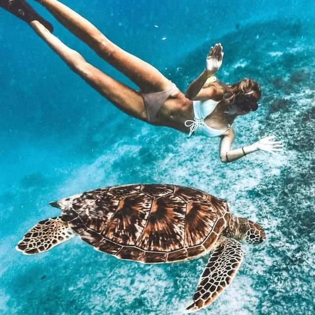 sunset-shared-snorkeling-trip