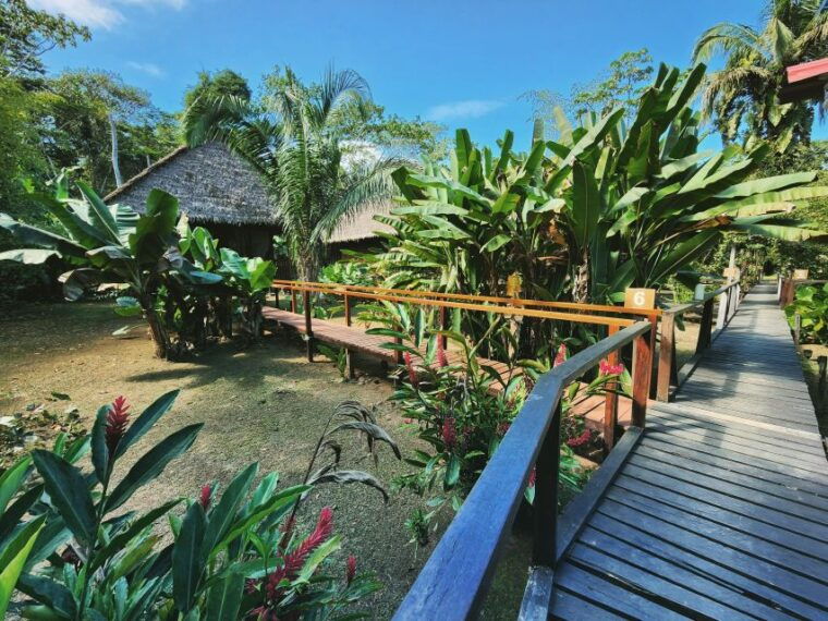 tambopata-all-in-one