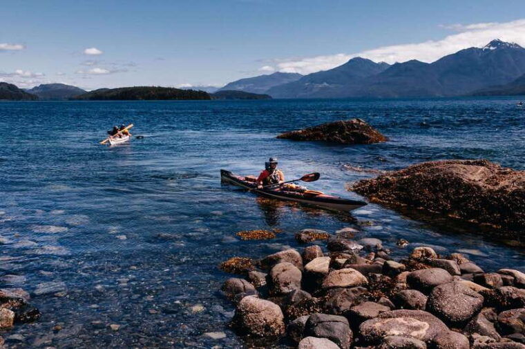 telegraph-cove-2-hour-family-fun-kayaking-tour