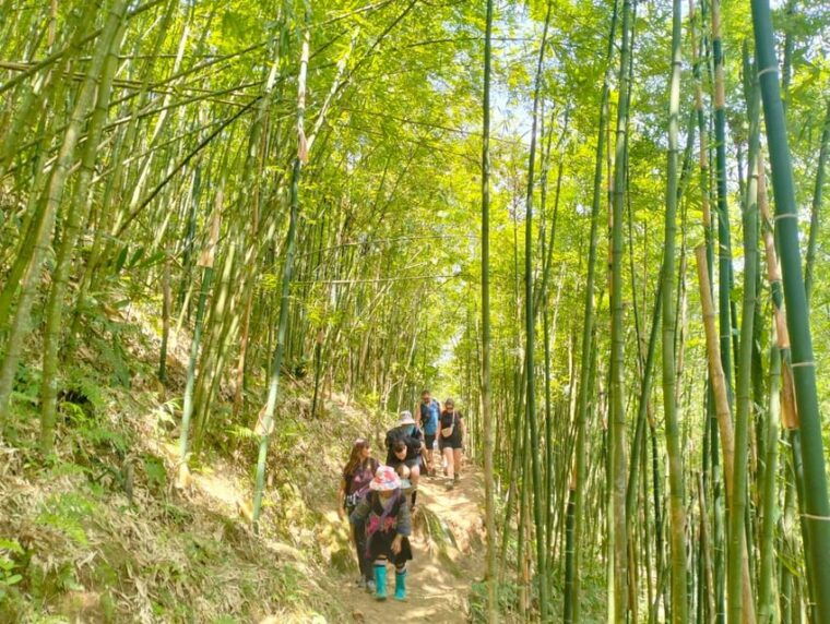 trek-to-local-ethnic-villages-muong-hoa-valley-guide-lunch