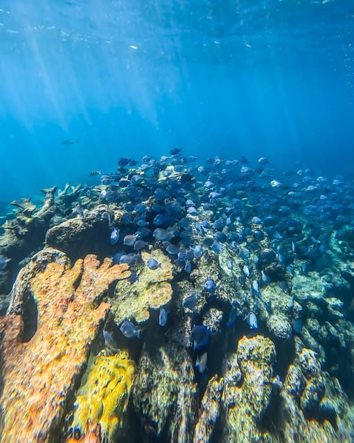 tulum-snorkeling-at-paradise-reef