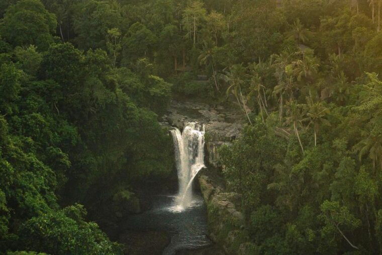 ubud-best-highlights-in-a-private-day-tour