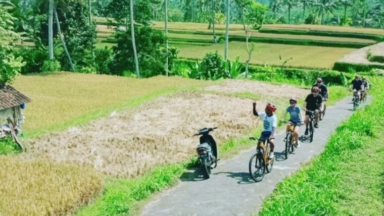 ubud-downhill-countryside-cycling-from-kintamani