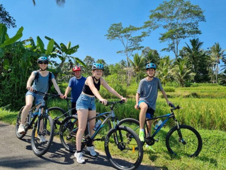 ubud-downhill-cycling-with-volcano-rice-terraces-and-meal