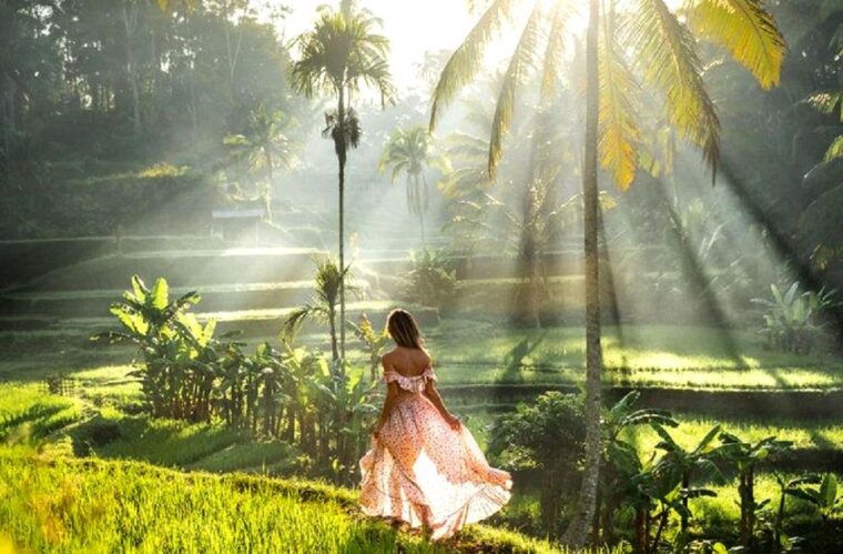 ubud-explorer-tailored-adventures-with-private-driver