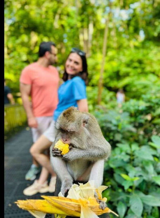 ubud-monkey-forest-coffee-plantation-and-ubud-market