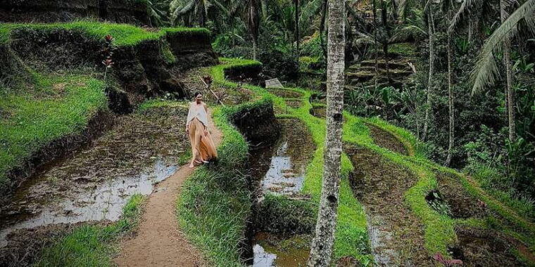 ubud-rice-terrace-holy-water-temple-waterfalls-trek-tour
