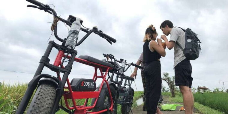 ubud-rice-terraces-villages-half-day-fat-tire-e-bike-tour
