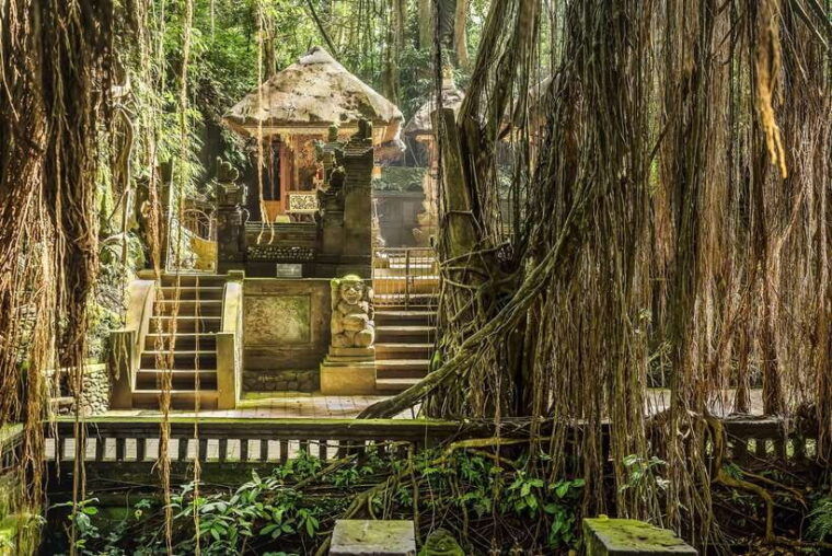 ubud-waterfall-rice-terraces-monkey-forest-tour