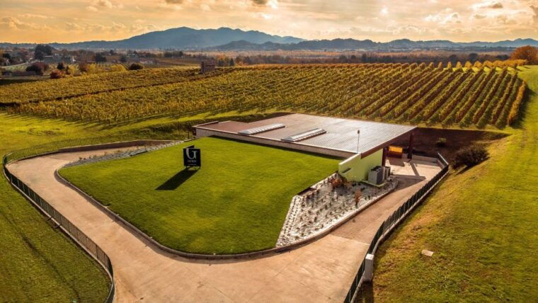 valdobbiadeneprosecco-superiore-hills-tour-with-winetasting