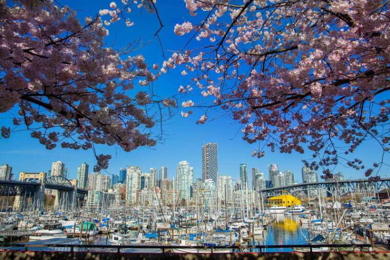 vancouver-city-granville-island-sightseeing-trolley-tour