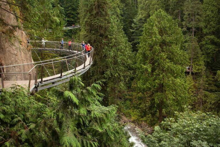 vancouver-city-tour-and-capilano-suspension-bridge-ticket